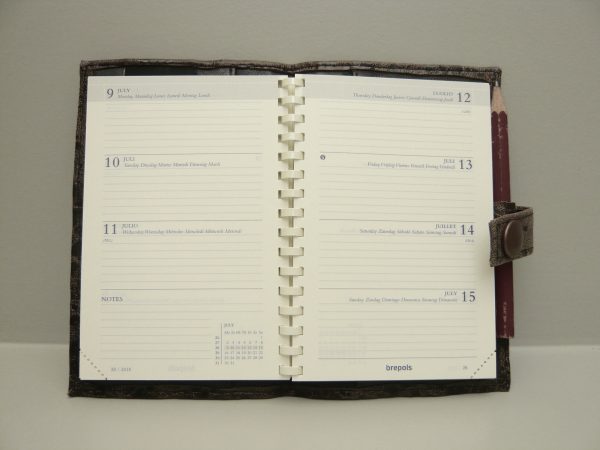 Leren agenda cover bruin ( klein model brepols )